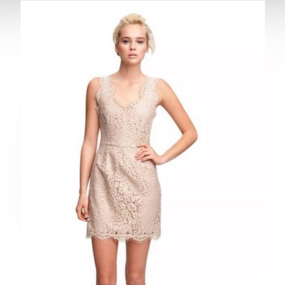 Joie Rori Lace Overlay Nude Blush Pink Dress Size Medium